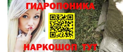 дурь Кингисепп