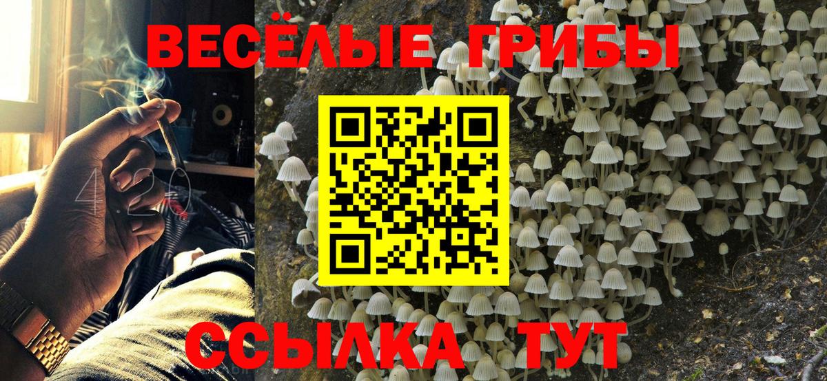 Галлюциногенные грибы Magic Shrooms  Вход с VPN  Чита  Псилоцибиновые грибы Psilocybe 